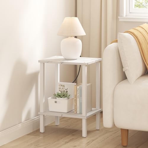 TUTOTAK End Table, Set of 2, Side Table, Nightstand, 2-Tier Storage Shelf