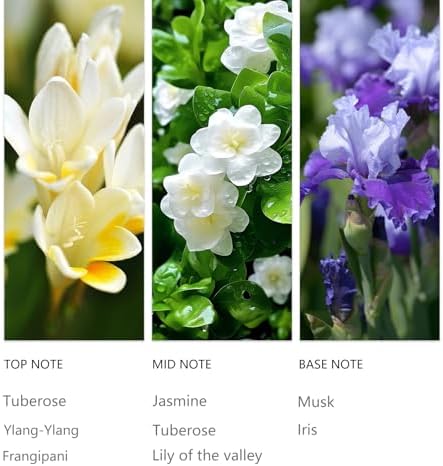20ml Ylang Ylang Waterless Essential Oil