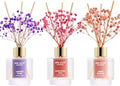 Airkeep Reed Diffuser Set of 3, Lavender Thyme Sandalwood Rose Cherry Blossom Oil Reed Diffusers for Bedroom Living Room Office Aromatherapy Oil Reed Diffuser for Gift 50ml x 3