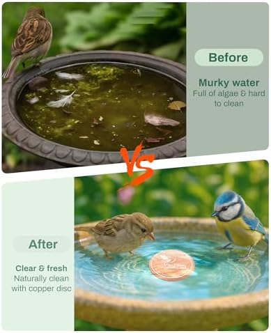 OICEME Bird Bath Purification Disc Pure Copper Outside Winter Solar Power Birdbath Hanging Bowl Deicer Cage Metal Deck Railing Glass Concrete Ceramic Stone Ground Water Birdhouse Gifts