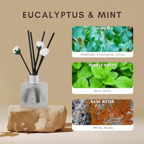 Brakula 2 Pack Reed Diffuser Set, Eucalyptus & Mint Scent, 6.76 fl oz