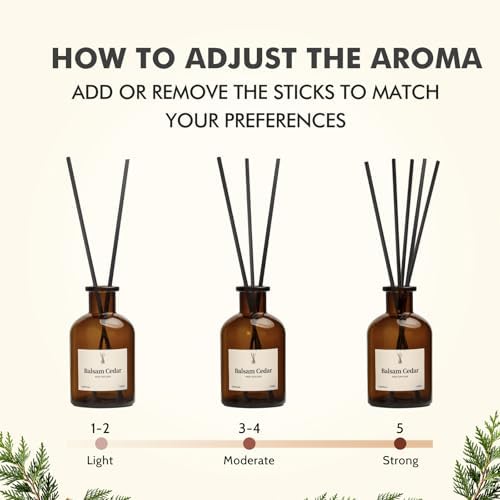 Balsam Cedar Reed Diffuser Set - Includes Reed Diffuser Sticks, 2 Pack Fragrance Oil and Glass Bottle, Reed Diffusers for Home Bathroom Shelf Decor & Gift, Air Fresheners (8.12 fl.oz)
