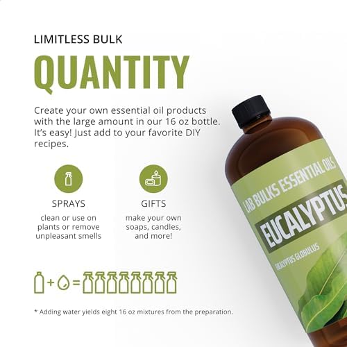Lab Bulks Essential Oil Eucalyptus 16 oz - 2 Pack