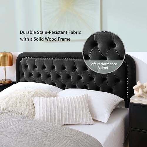 Tufted Upholstered Full Size Headboard only - Button Solid Wood HeadBoards with Adjustable Height - Modern Velvet Padded Bed Headboard - Easy Assembly - Nailhead, Black