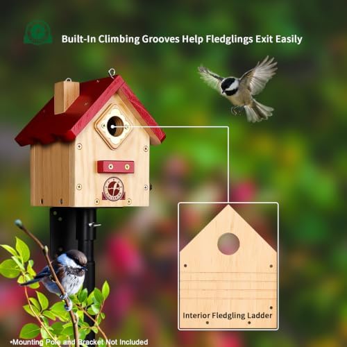 SISTERBIRD Wren Bird Houses for Outside, Red Hanging Wren House, Gifts