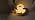 Cute Duck Night Light, LED Squishy Novelty Duck Lamp, Cool Gifts for Duck