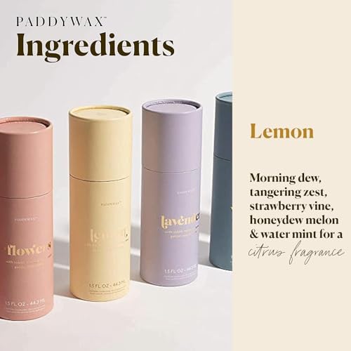 Paddywax Petite Reed Diffuser Set, Meyer Lemon, Yellow, 1.5 oz