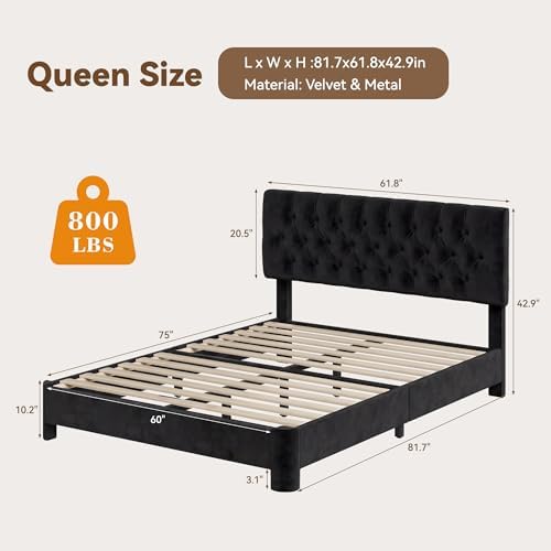 Queen Size Bed Frame with Headboard, Luxury Velvet Fabric Upholstered Bed frame with Button Tufted Design, Strong Wooden Slats Support - Low & Sturdy, Noise-Free, No Box Spring, Easy Assembly, Black