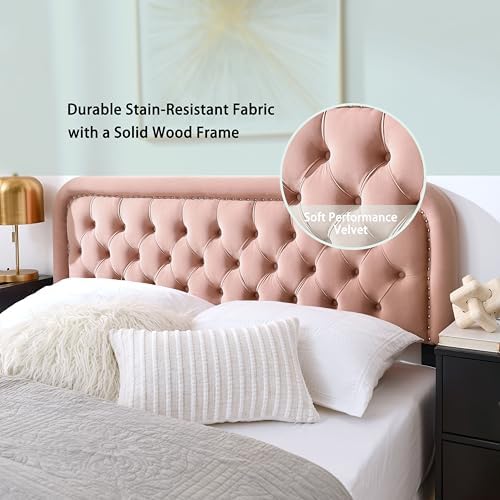 Tufted Upholstered Queen Headboard - Button Solid Wood HeadBoards with Adjustable Height - Modern Velvet Padded Bed Head Boards - Easy Assembly - Nailhead (Pink)