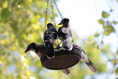 Bird Feeder, Hanging Platform Bird Feeder, Mesh Tray