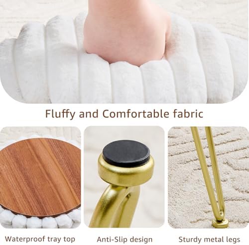 Wimarsbon Vanity Stool with Storage, Faux Fur Ottoman Chair with Metal Legs