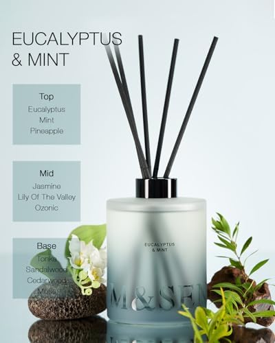 M&SENSE Reed Diffuser, Eucalyptus & Mint, 17 oz Natural Essential Oil