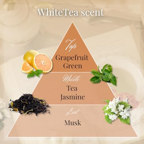 White Tea Luxury Japanese Incense Sticks 60sticks Jasmine Musk Grapefruit Coreless Low Smoke Natural Charcoal Free Non Toxic Aromatherapy Meditation Calming Stress Relief Relaxation Yoga TOMORI