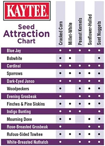 Kaytee Seed & Suet No Mess Blend Blueberry Flavor 10 Pounds