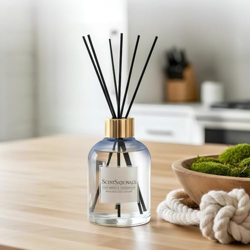 ScentSationals Deep Water & Cedarwood Water-Based Reed Diffuser - 5 FL OZ