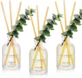 COCORRÍNA Reed Diffuser Set of 3 with Dried Eucalyptus for Home & Office