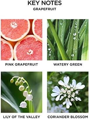 NEST New York Wall Diffuser Refill, Grapefruit