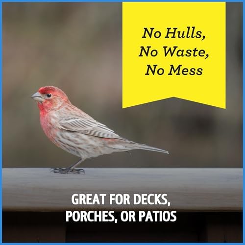 Pennington Select Chips & Bits Wild Bird Seed for Outside Feeders 15-lb Bag