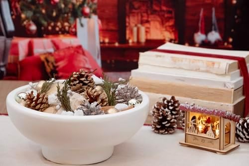 ANDALUCA Maison Box Fragrance Potpourri Decorative Vase & Bowl Filler Home Décor (Frosted Pine)
