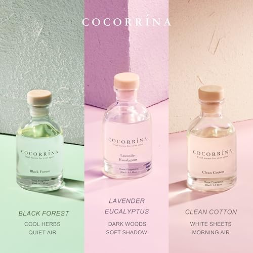 COCORRÍNA Reed Diffuser Set of 3 with Dried Eucalyptus for Home & Office