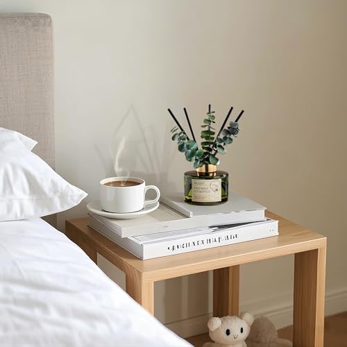 Airkeep Reed Diffuser Set with 6.76 fl oz Wild Mint & Eucalyptus Scent Essential Oils and 3 Leaves & 8 Diffuser Sticks,Bathroom Shelf Decor & Air Freshener, House Bedroom Office Decor & Gifts