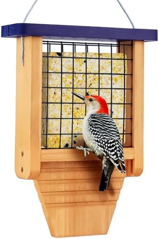Gbekery Wooden Suet Feeder with Tail Prop for Outside Hanging, Blue Roof
