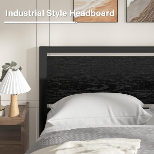 Queen Metal Bed Frame with Industrial Headboard, Black