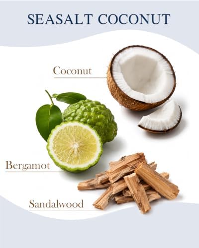 M&SENSE Reed Diffuser Set, Sea Salt Coconut, 7.7 oz Natural Essential Oil