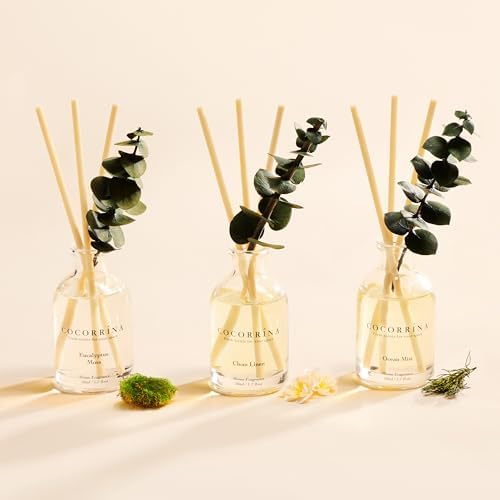 COCORRÍNA Reed Diffuser Set of 3 with Dried Eucalyptus for Home & Office