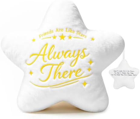 NZNDB Funny Star Pillow Best Friend Friendship Gifts for Women