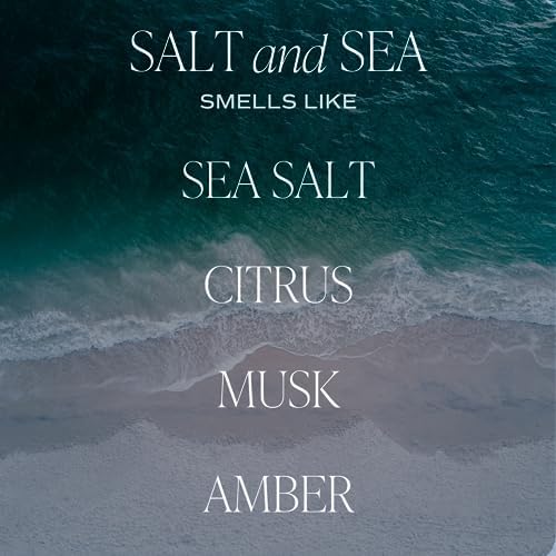 Sweet Water Decor Salt and Sea Reed Diffuser Set for Home - Sea Salt, Citrus, Musk, Amber Scented Reed Diffusers for Summer - Air Freshsner Lasts 4+ Months, Made in the USA