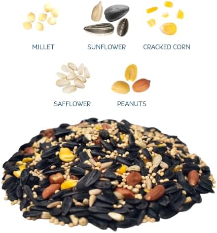 Audubon Park Songbird Wild Bird Seed, 10 lb.