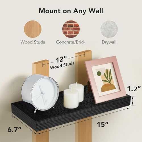 Amada 15 Inch Floating Shelves with Invisible Brackets, Set of 2, Black