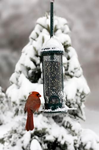 Squirrel Buster Mini Truly Squirrel-Proof Bird Feeder