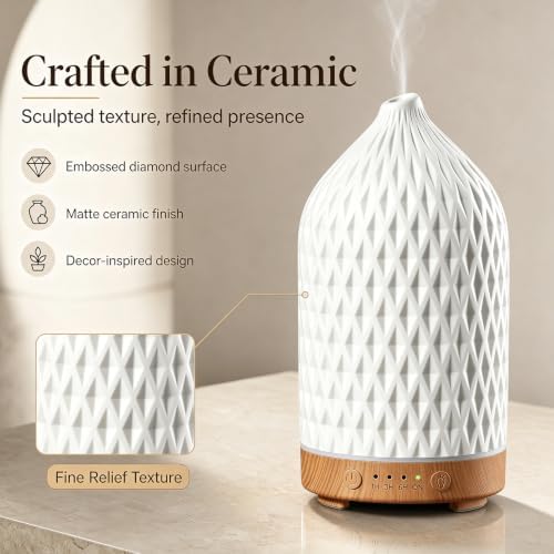 Gooamp 200ML Ceramic Essential Oil Diffuser for Home, Stone Diffuser