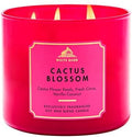 Bath & Body Works 3-Wick Candle, Cactus Blossom, Soy Wax Blend