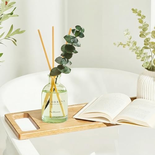 COCORRÍNA Reed Diffuser Set of 3 with Dried Eucalyptus for Home & Office