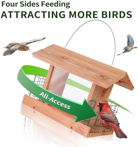 Solution4Patio Squirrel-Proof Cedar Hopper Bird Feeder, Dual Suet Holder