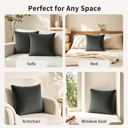 2 Pack 18 x 18 Decorative Throw Pillows with Insert Included