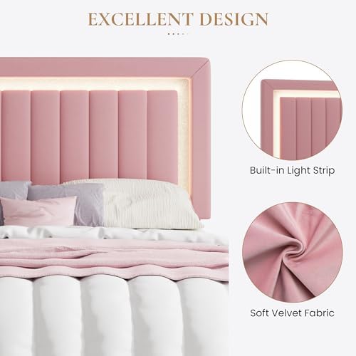 SHA CERLIN King Size Velvet Bed Frame with LED Light, Pink