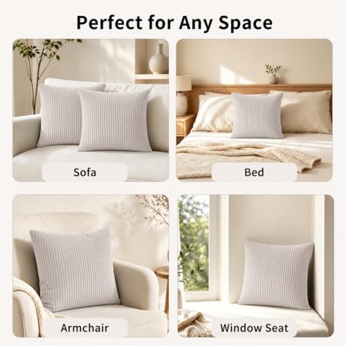 2 Pack 18 x 18 Decorative Throw Pillows with Insert Included