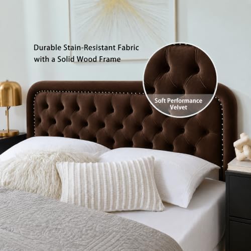 Tufted Upholstered Twin Size Headboard only - Button Solid Wood HeadBoards with Adjustable Height - Modern Velvet Padded Bed Headboard - Easy Assembly - Nailhead, Taupe Brown
