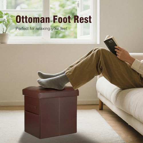 Ottoman with Storage, Upgraded 17" Height Folding Foot Stool, Light Brown