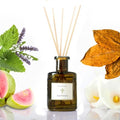 PRISTINE Casa Particular/Inspired by Wyndham Reed Diffuser for Home | Rich Blend of Tobacco Leaves, Sweetness of Guava Reed Diffuser Set, Oil & Reed Diffuser Sticks | Home & Office Decor