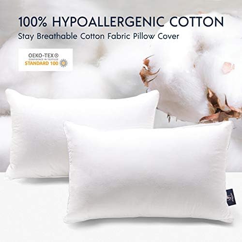 Phantoscope Throw Pillow Insert with 100% Cotton Cover, 12x20 Inch, 2 Pack