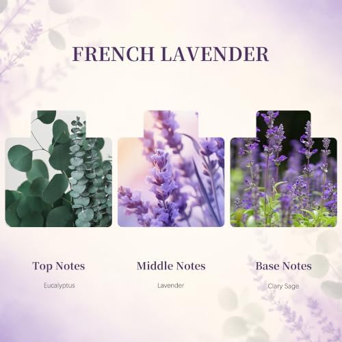Airkeep Flower Reed Diffuser Set, French Lavender Diffuser Set, 5.07 Fl.oz (150ml), Home Fragrance, Bathroom, Bedroom & Home Décor, Air Freshener