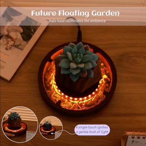 MOOCCI Levitating Plant Pot with Light, Magnetic Floating Flower Pot with Rotating and Auto-Spinning, Brown Wood Grain Planter for Succulents, Cool Desk Decor for Home Office, Unique Gift Idea