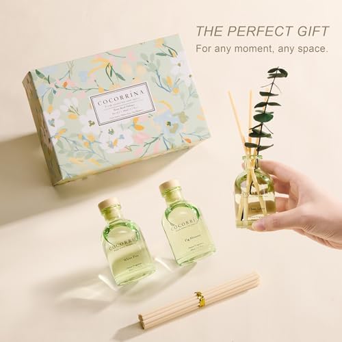 COCORRÍNA Reed Diffuser Set of 3 with Dried Eucalyptus for Home & Office