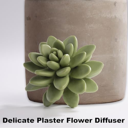 Reed Diffuser Set, Pretty Valley Home Succulent Gypsum Ceramic Fragrance Diffuser Vase Set - 3.38 fl oz (100 ml), Home Fragrance Reed Diffuser (Frozen PEAR S)