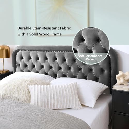 Tufted Upholstered Twin Size Headboard only - Button Solid Wood HeadBoards with Adjustable Height - Modern Velvet Padded Bed Headboard - Easy Assembly - Nailhead, Grey
